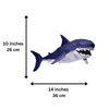 3D Shark Model