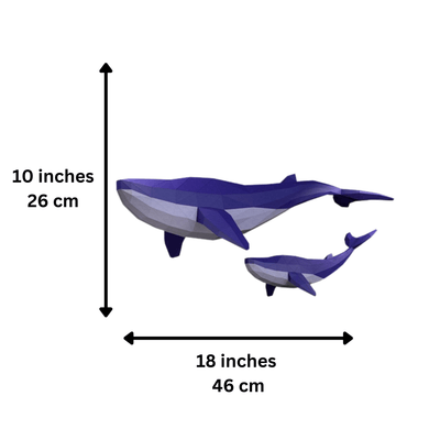 Whale Model