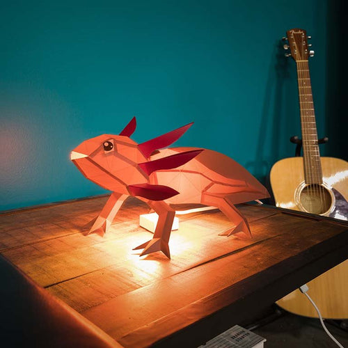 Axolotl Papercraft 3D Model - Refurbished