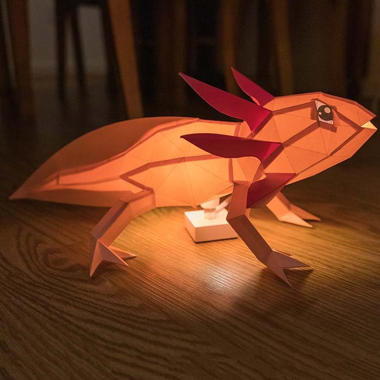 Axolotl Papercraft - 3D Paper Model That Anyone Can Build! Shop Now ...