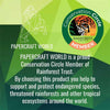 Black Fox Model - Limited Edition - PAPERCRAFT WORLD