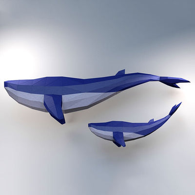 Whale Model - PAPERCRAFT WORLD
